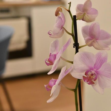 Ηλιόλουστο Apartment Athens Luaran gambar